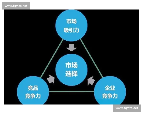 以市场策略为核心驱动企业增长与品牌竞争力提升路径研究系统化实践 以市场策略为核心驱动企业增长与品牌竞争力提升路径研究系统化实践