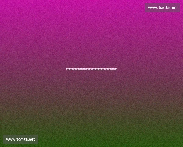 以数字提升为核心驱动高质量发展与治理现代化新路径建设与创新实践探索