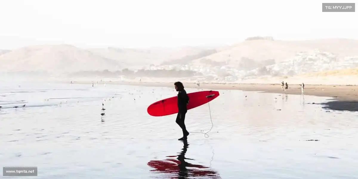 为什么选择我们